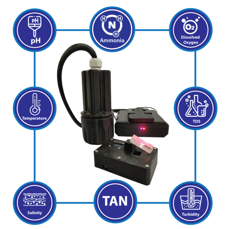 Description of the image