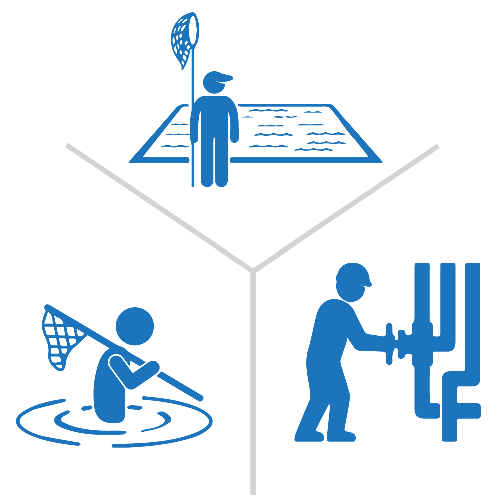 Description of the image