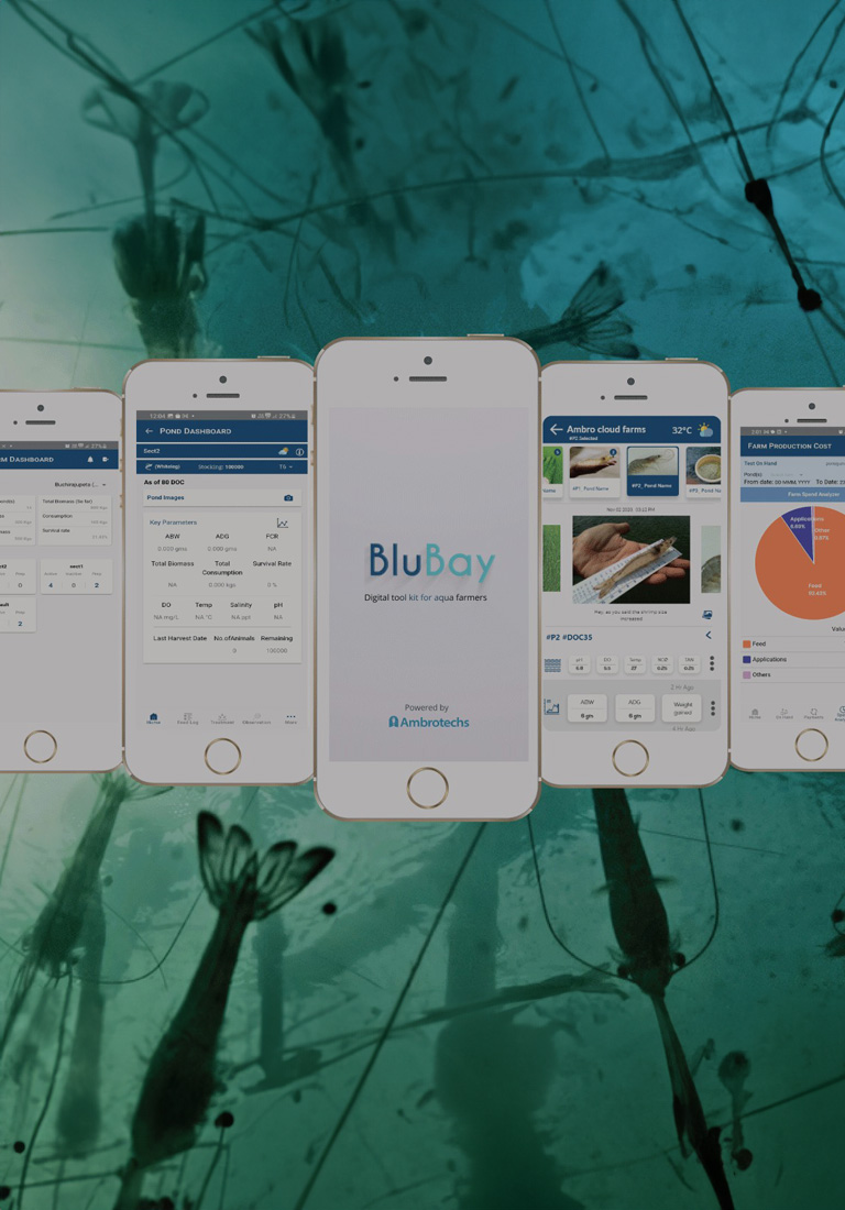 Description of the image