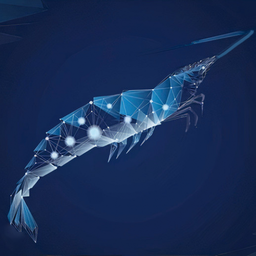 Description of the image