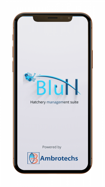 Description of the image