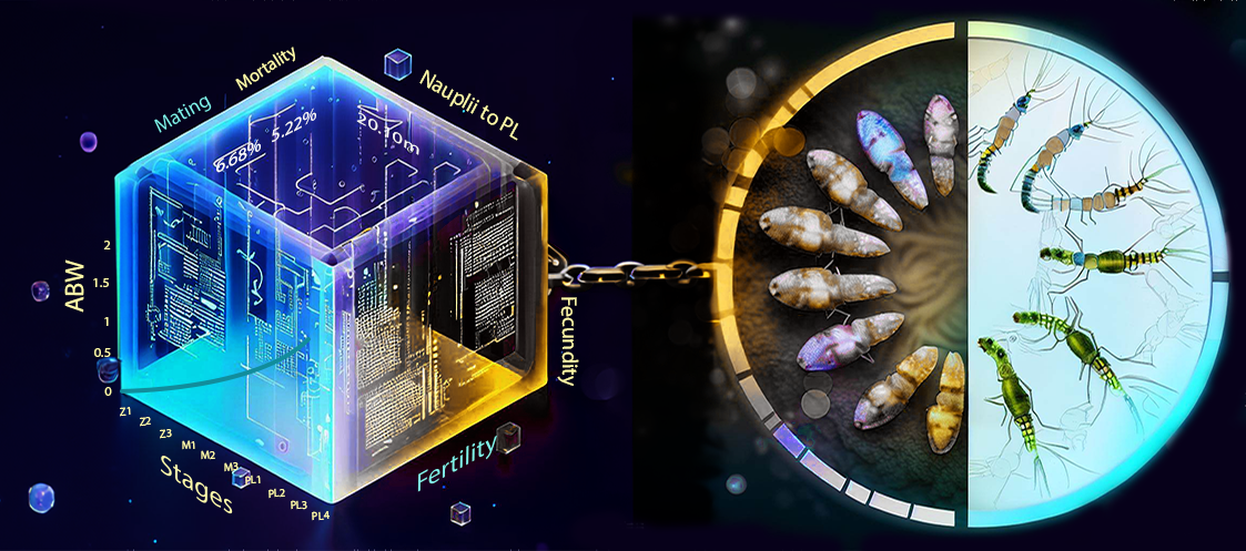 Description of the image