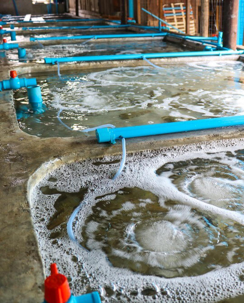 Description of the image