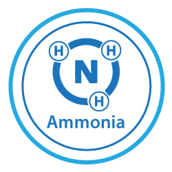 Description of the image